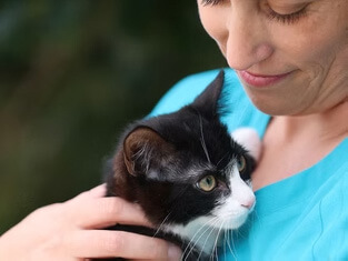 Veterinarian caring for a black and white cat during a consultation