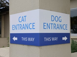Cat and dog entrance signs at the veterinary hospital
