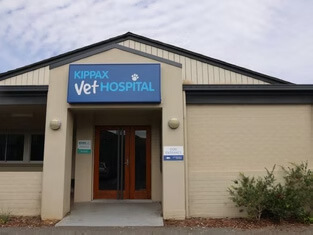 Brindabella Veterinary Referral Service clinic exterior in Holt ACT