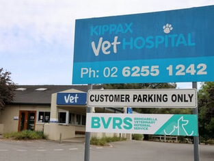 Brindabella Veterinary Referral Service hospital entrance sign