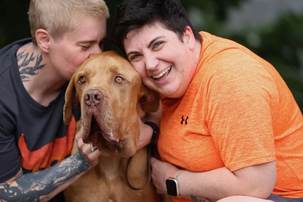 Happy loving dog owners