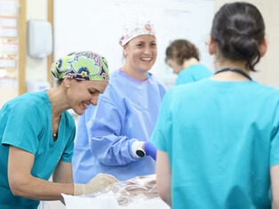 Veterinary surgery team preparing for a specialist procedure