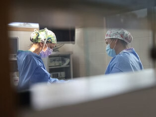 Veterinary surgical team viewed through operating room window