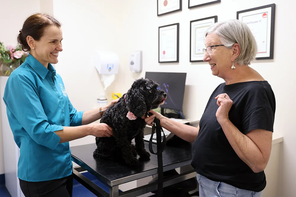 Vet with dog and owner