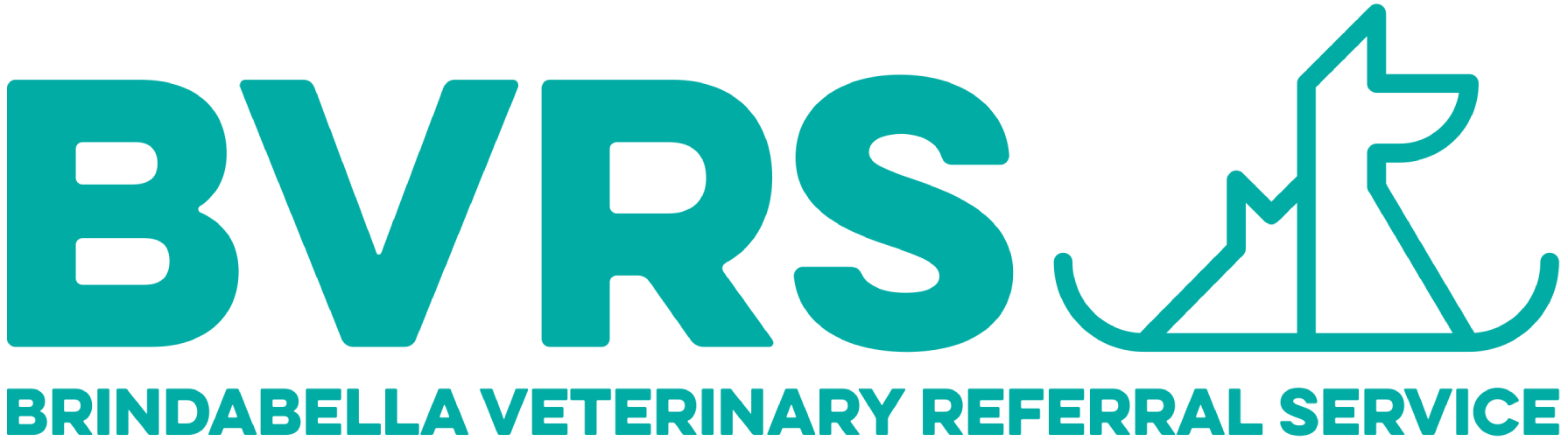 BVRS Logo