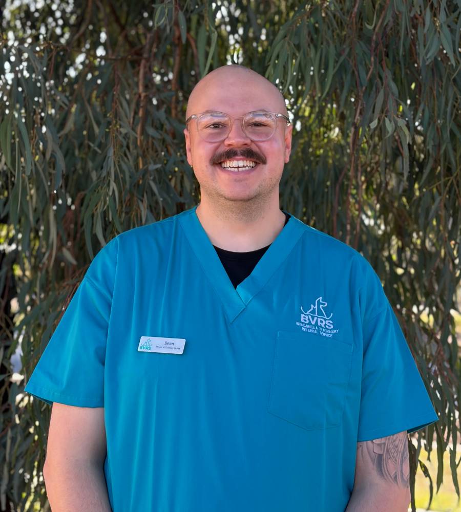 vet staff standing and smiling