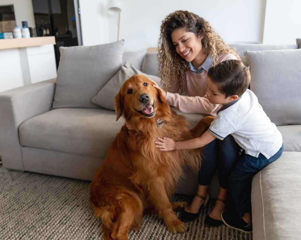 Family petting golden retriever dog