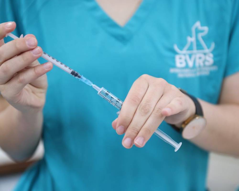 Hands holding medical syringe.