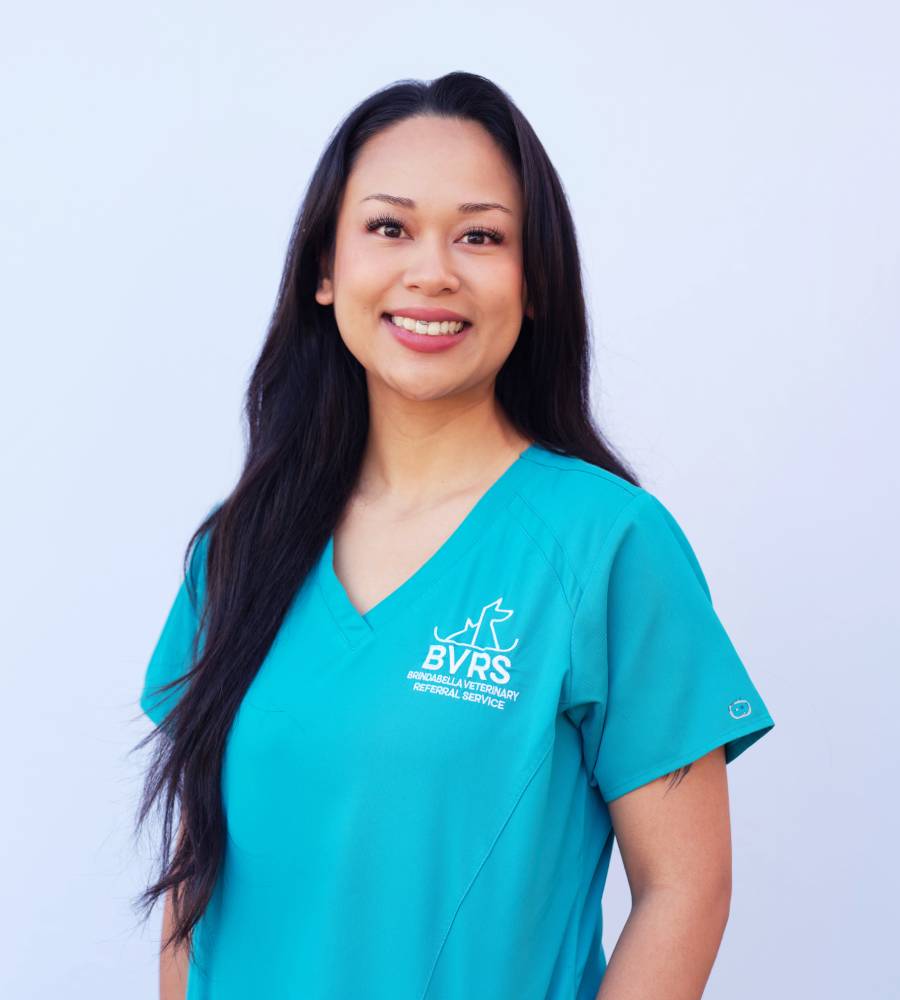 vet staff standing and smiling