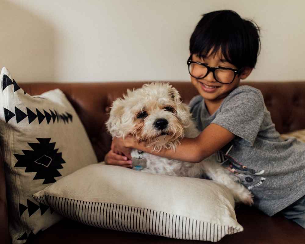Smiling boy hugs fluffy dog.