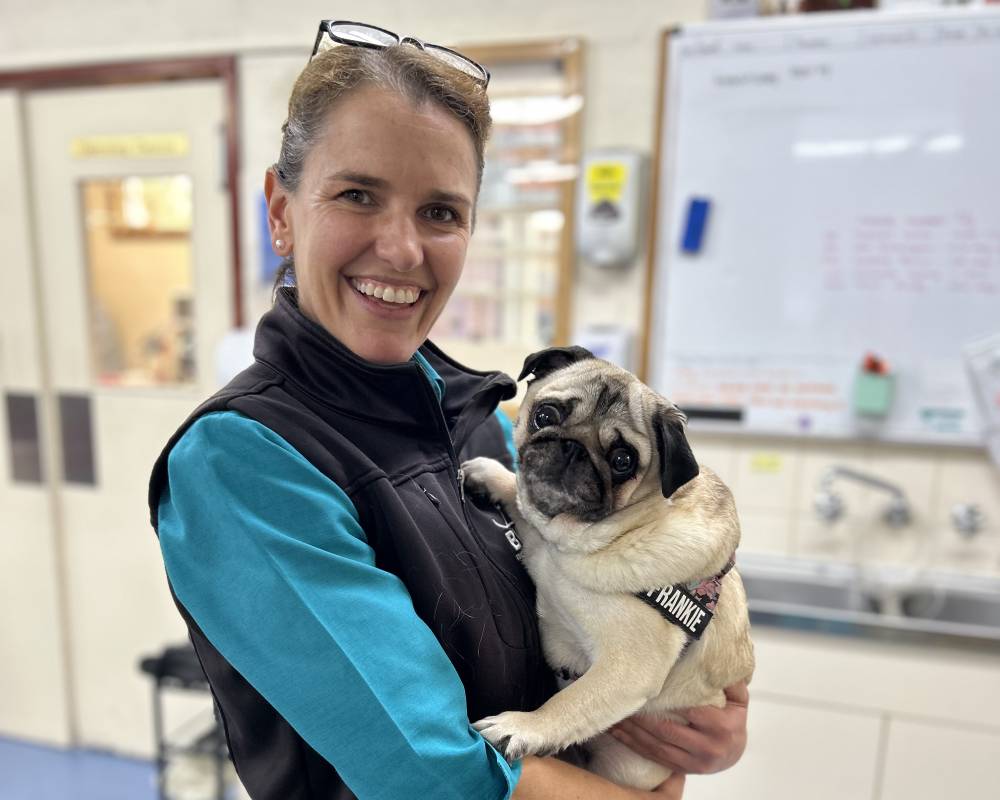 Smiling woman holding pug dog.