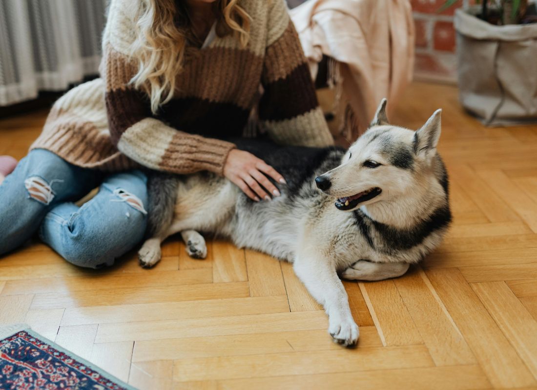 Woman petting husky dog.