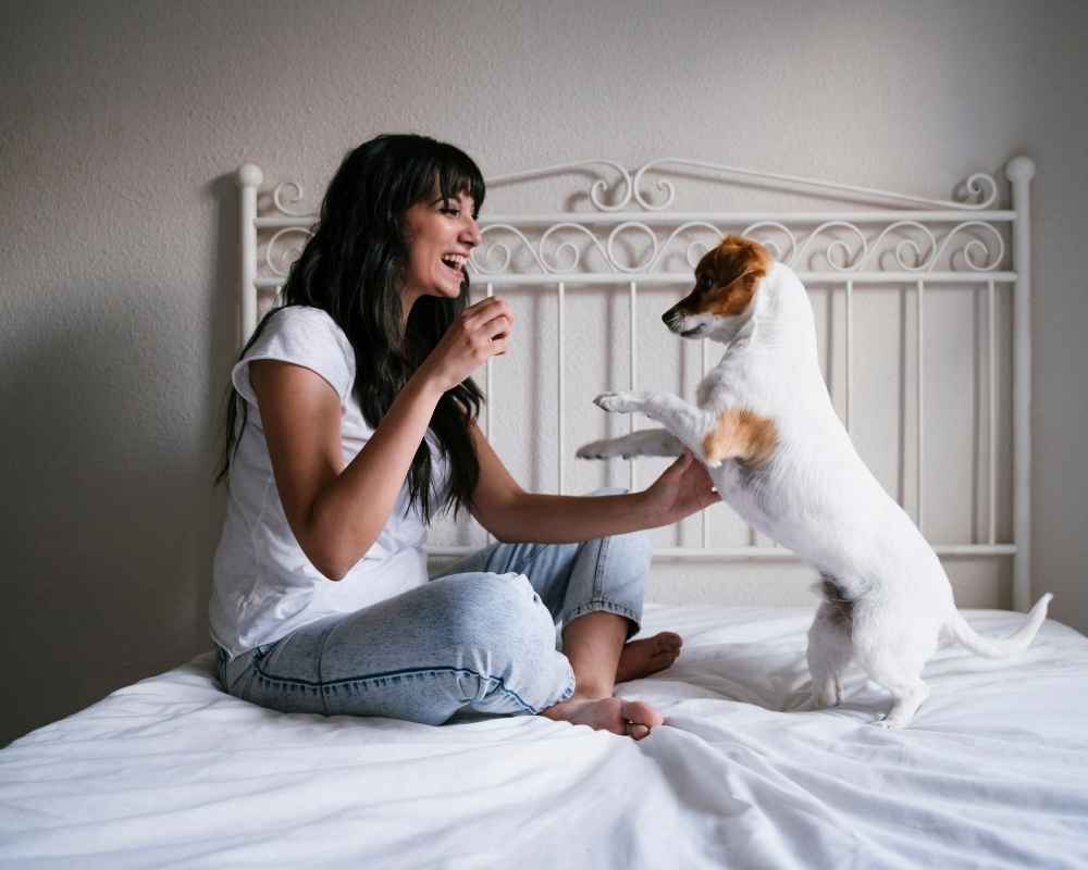Woman playing with dog.