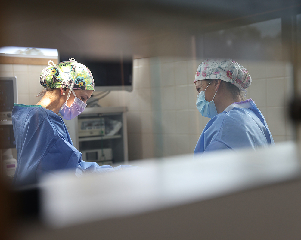 Two surgical team members in scrubs and masks during a procedure, viewed through an operating room window
