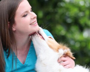 Veterinary team member in scrubs being licked on the face by a happy dog outdoors