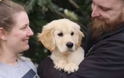 Cashew’s Story: A Puppy with a Broken Leg