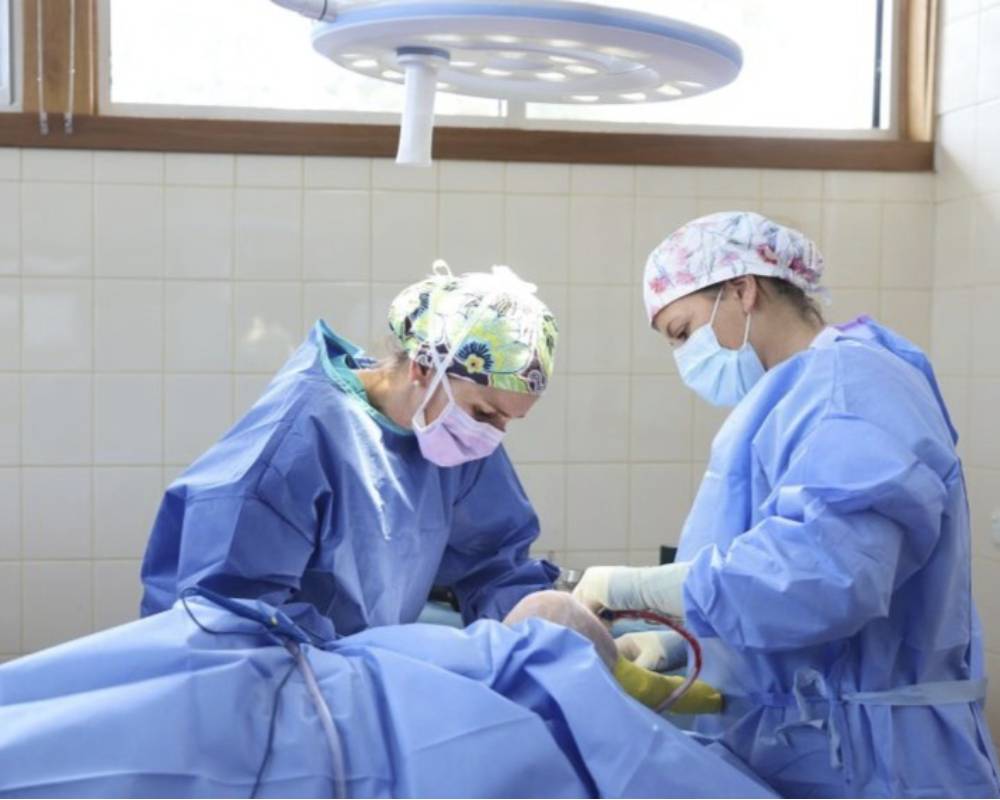 Surgeons operating on patient.
