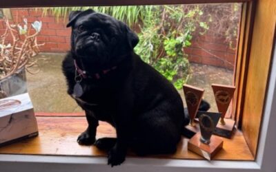 Daphne’s Story: Breathing Easier After Airway Surgery
