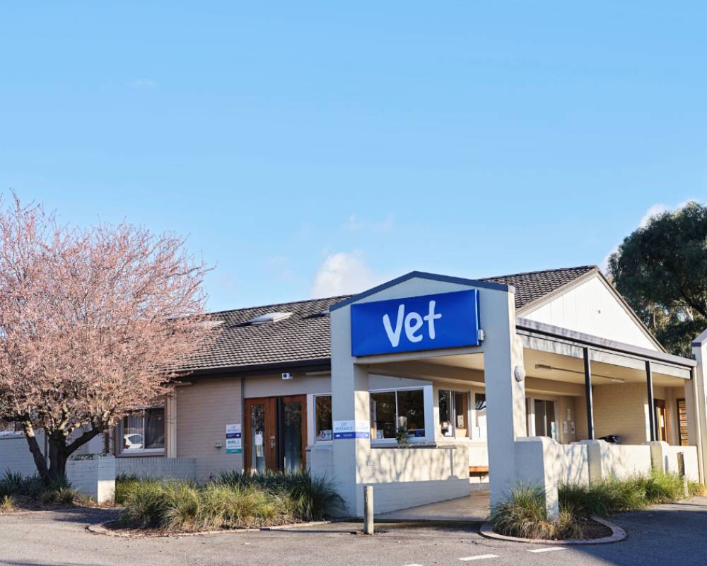 exterior view of Brindabella Veterinary Referral Service building