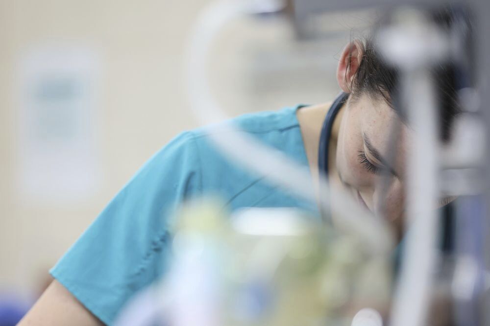 vet performing minimally invasive surgery